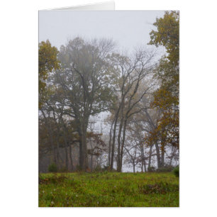 Niebla matutina de otoño en el campo