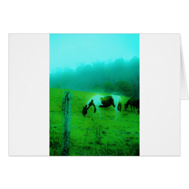 Niebla verde azulada Reto pintado pony Caballo (Anverso (Horizontal))
