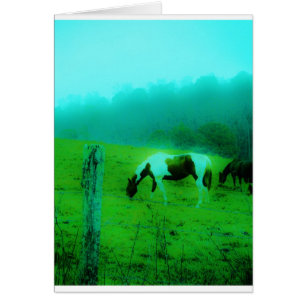 Niebla verde azulada Reto pintado pony Caballo