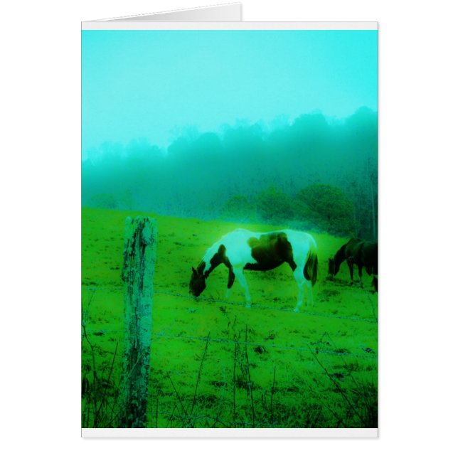Niebla verde azulada Reto pintado pony Caballo (Frente)