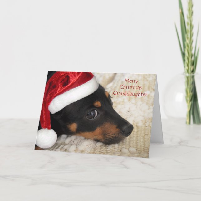 Nieta de las Felices Navidad del Dachshund (Anverso)