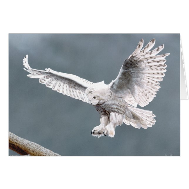 Nieve (Anverso (Horizontal))