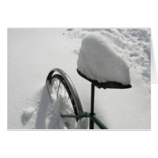 nieve 3