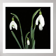 Nieve blanca lanza flores de primavera sobre arte 