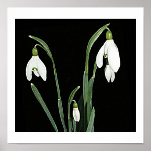 Nieve blanca lanza flores de primavera sobre arte 