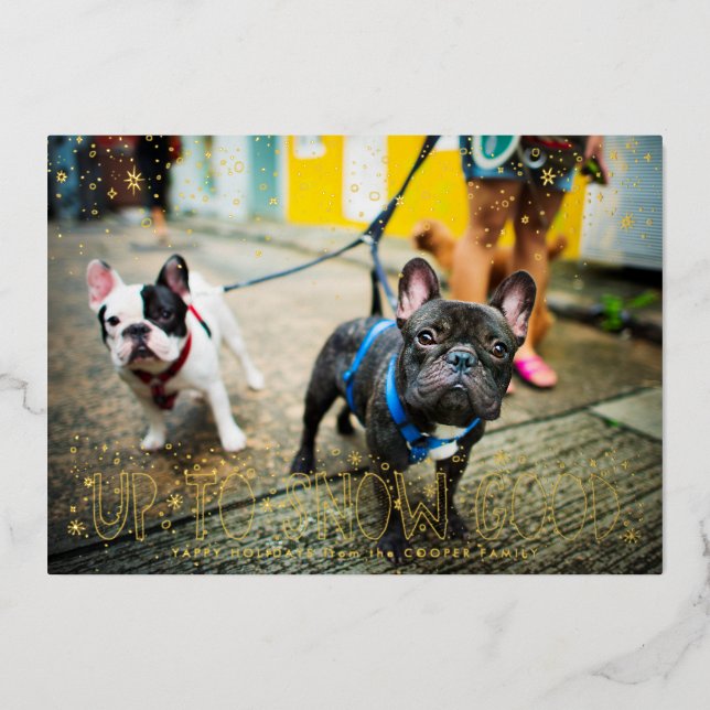 Nieve buena | Tarjeta fotográfica Mascota (Anverso)