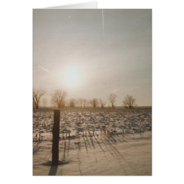 Nieve de invierno (Frente)