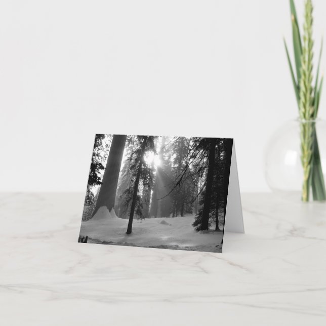 Nieve de invierno en el Parque Nacional del Cañón  (Anverso)