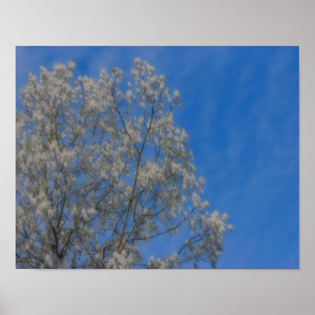 Nieve De Oleada De Árbol Poplar En Junio, Arte Nat (Frente)
