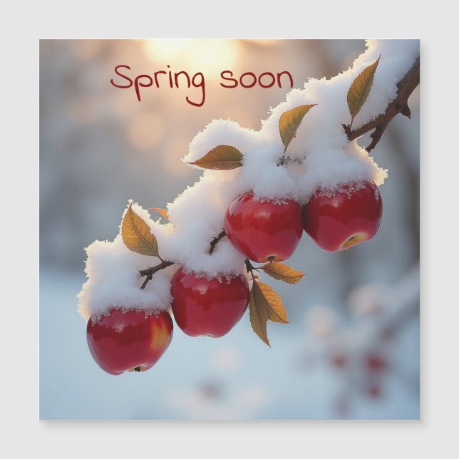 Nieve de primavera pronto sobre manzanas rojas (Anverso)