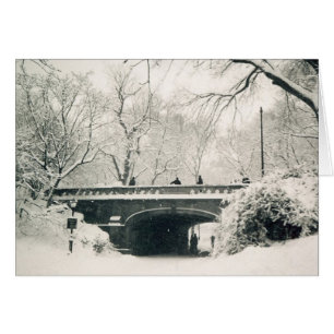 nieve del parque central