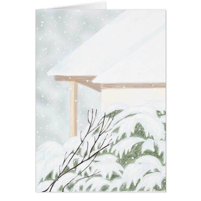 Nieve en el enebro Bush (Frente)