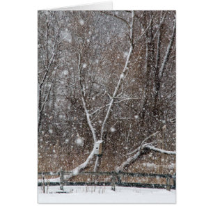 Nieve en el parque