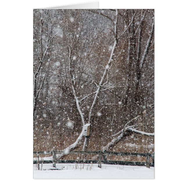 Nieve en el parque (Frente)