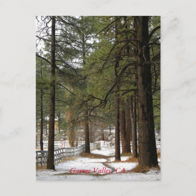 Nieve en la postal de los Navidades (Anverso)