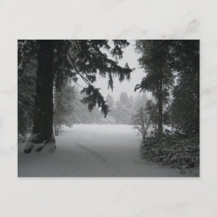 Nieve en la postal de Vassar