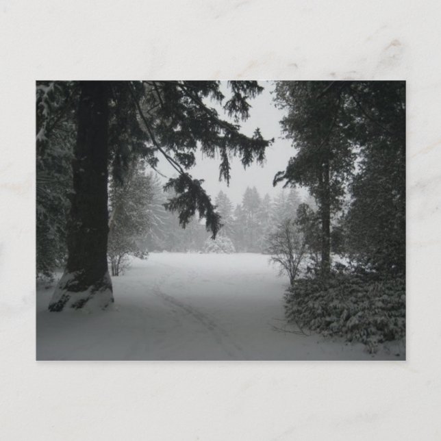 Nieve en la postal de Vassar (Anverso)