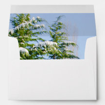 nieve en los árboles, dirección de retorno, bonito