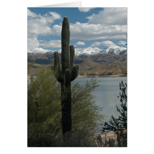 NIEVE EN LOS PUNTOS (Frente)