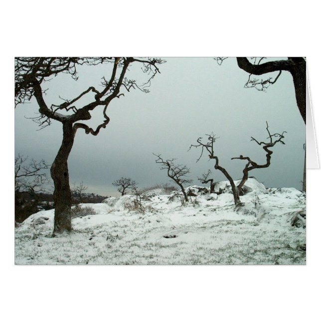Nieve en prado del roble de Garry (Anverso (Horizontal))