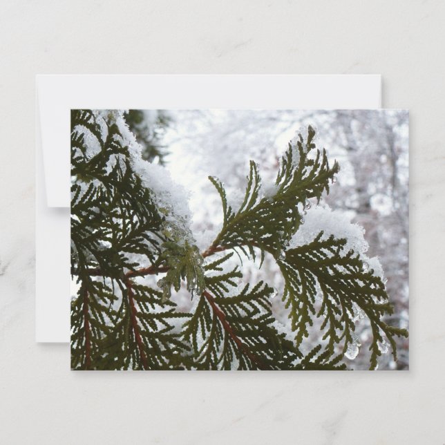 Nieve en ramas verdes (Anverso)