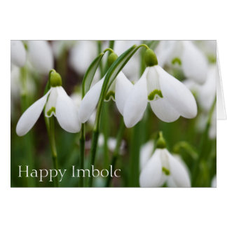 Nieve - Feliz Imbolc