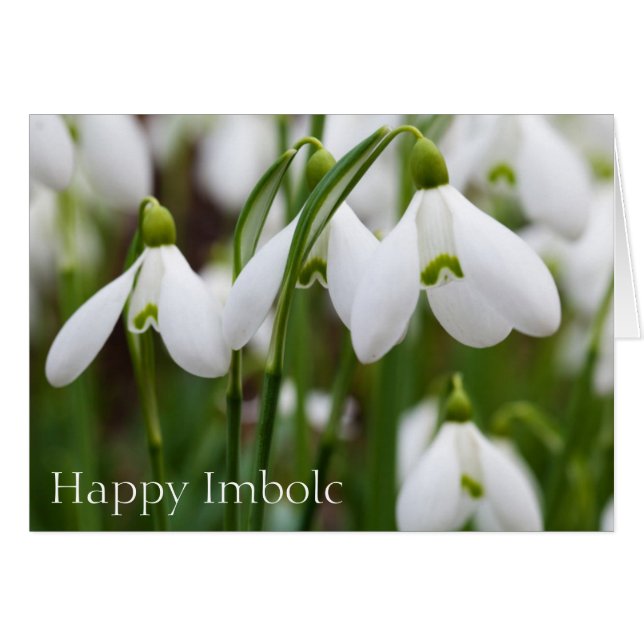 Nieve - Feliz Imbolc (Anverso (Horizontal))