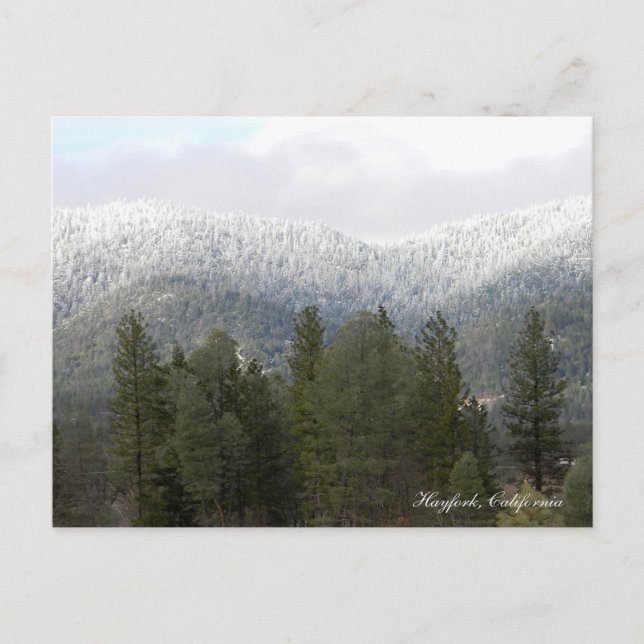 Nieve fresca en polvo...... Postal (Anverso)