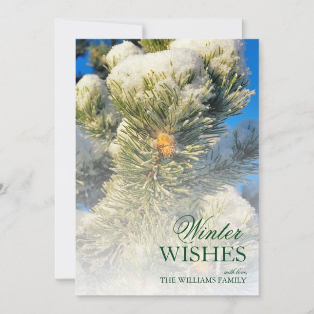 Nieve fresca sobre agujas de pino (Anverso)