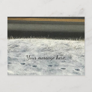Nieve Grass Foot Imprime las postales de texto en 