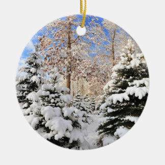Nieve para el ornamento del navidad