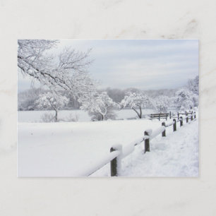 Nieve pegajosa 7 ~ postal