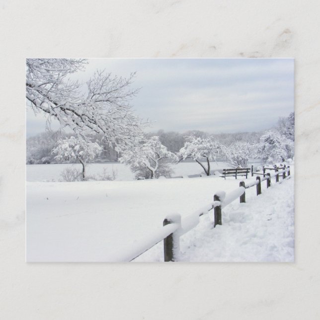 Nieve pegajosa 7 ~ postal (Anverso)