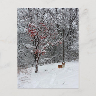 Nieve temprana: Postal del Corgi