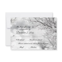 Nieve y Hielo Brillantes Invierno RSVP + Menú