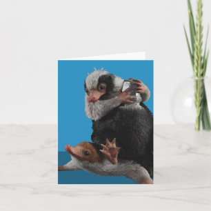 Nifflers Bebés Encuentran Un Premio