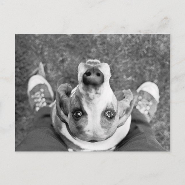 Nimrod con postal de pies (Anverso)