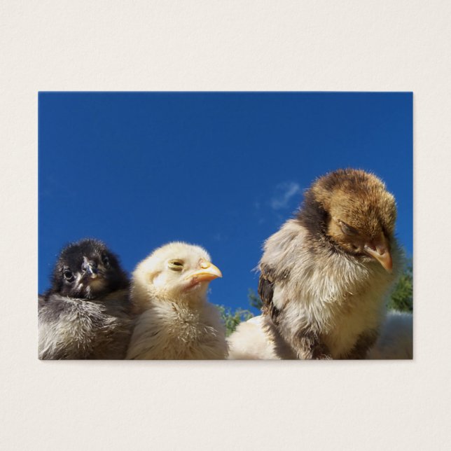 niña de pollo feliz durmiendo (Frente)