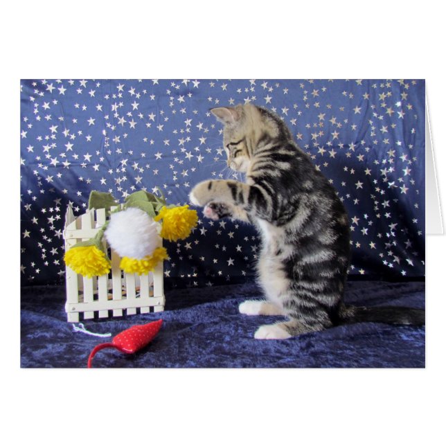 Niña juguetona - Lilo (Anverso (Horizontal))