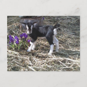 Niña llamada postal de flores