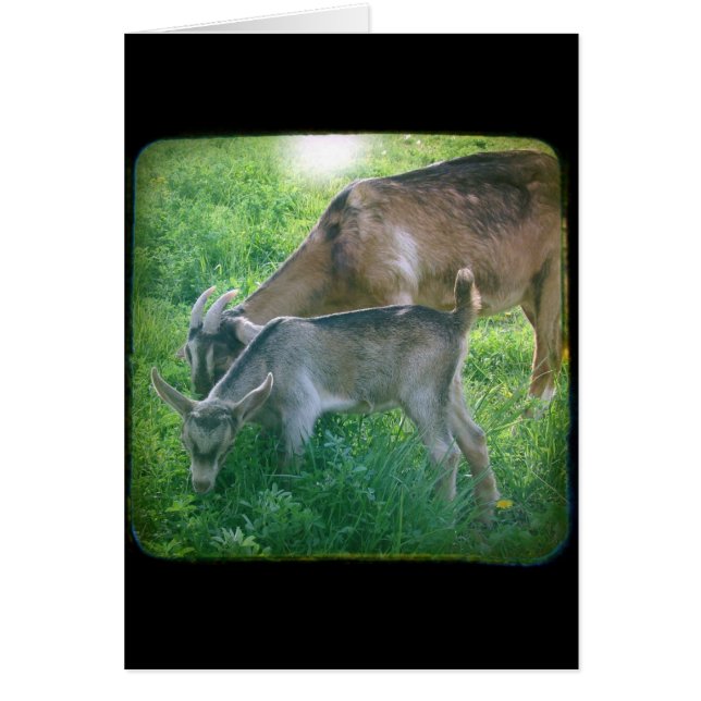 Niñera y KId (Frente)