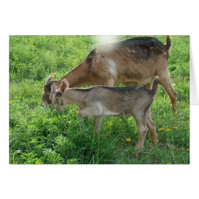 Niñera y niño (Anverso (Horizontal))