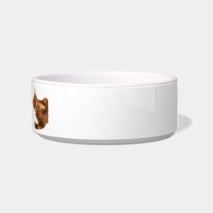 Ningún Declaw el cuenco de la comida para gatos