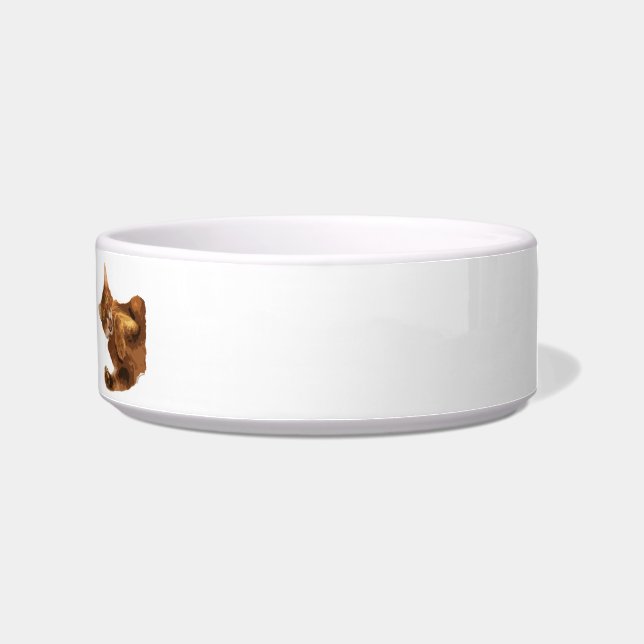 Ningún Declaw el cuenco de la comida para gatos (Derecha)