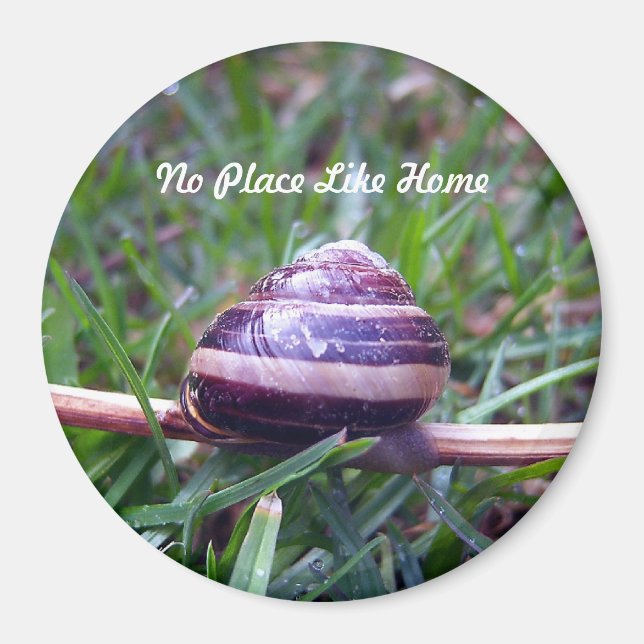 Ningún lugar como el imán doméstico (Frente)