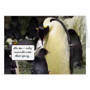 Ningún pingüino libre del almuerzo