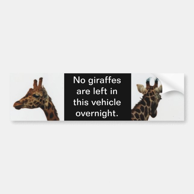 ninguna jirafa dejada detrás de la pegatina del pa (Frente)