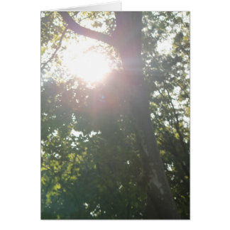 Ninguna razón buena