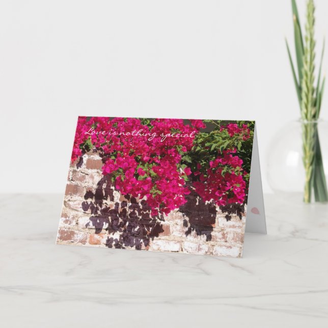 Ninguna tarjeta especial (Anverso)