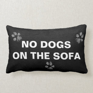 NINGUNOS PERROS EN la almohada del SOFÁ
